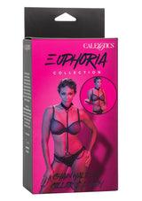 Chain Halter & Collar