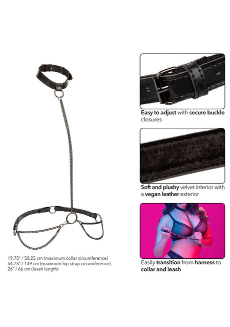 Chain Halter & Collar Plus