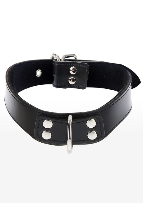 Elegant D-Ring Collar