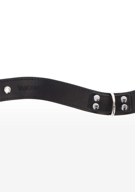 Elegant D-Ring Collar