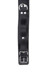 Heavy D-Ring Collar