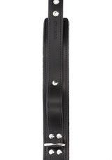 Heavy D-Ring Collar