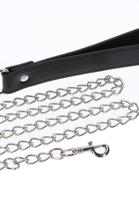 Elegant Collar and Chain Leash