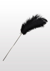 Feather Tickler