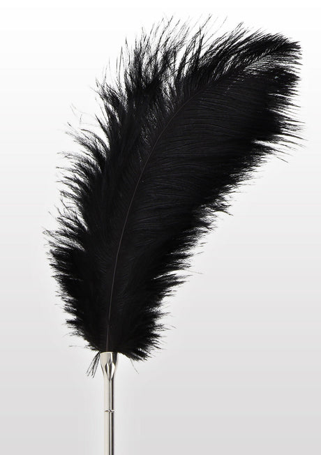 Feather Tickler
