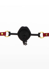 Kinky Gag with Plug