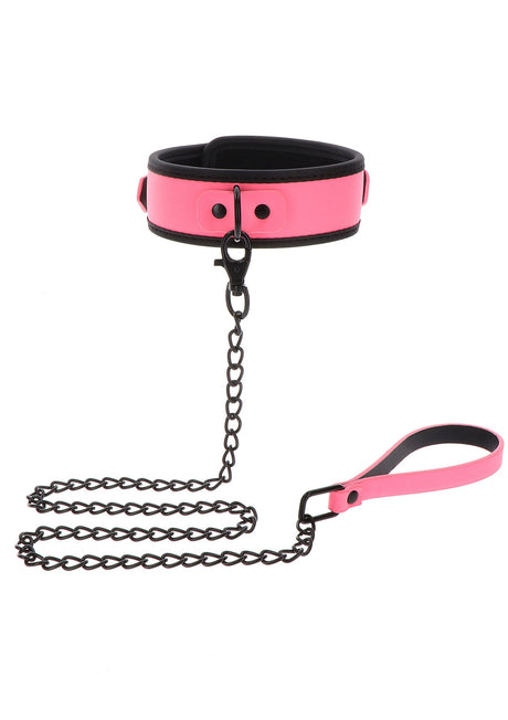 Collar and Chain Leash