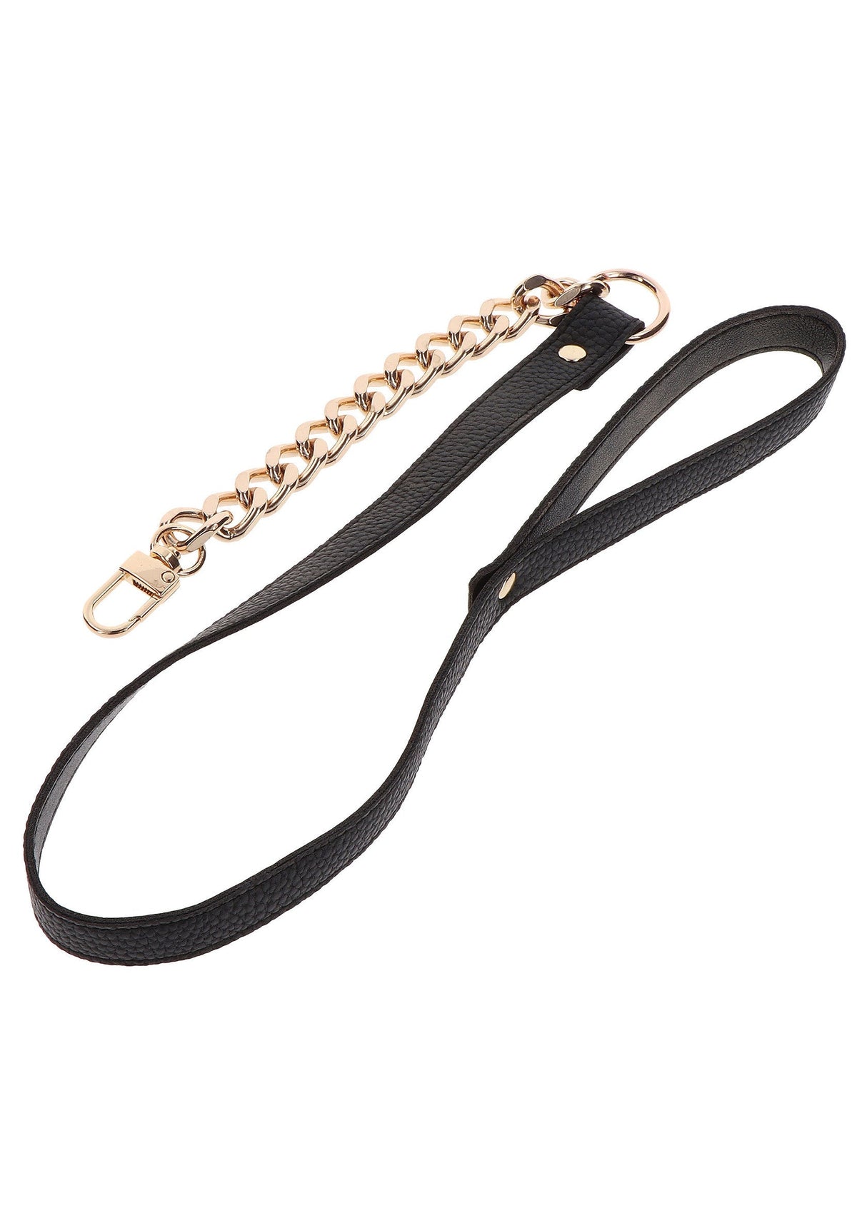 Statement Leash