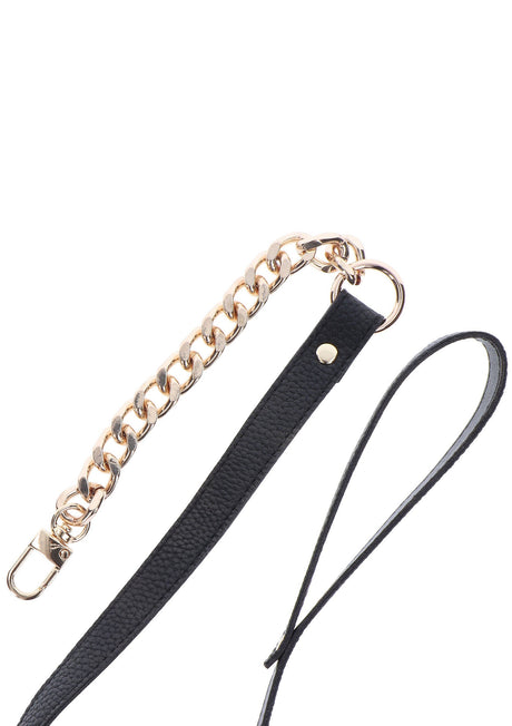 Statement Leash