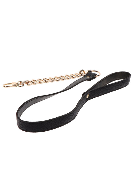 Statement Collar and leash