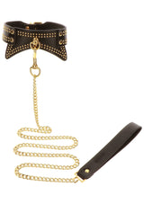 Studded Collar and Leash