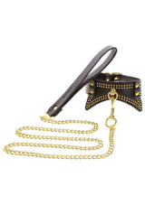 Studded Collar and Leash