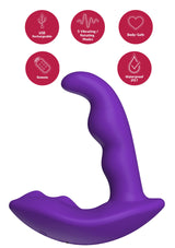 Anal Stimulator Vibrator
