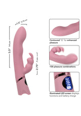 Orgasmatron Digital G-Bunny