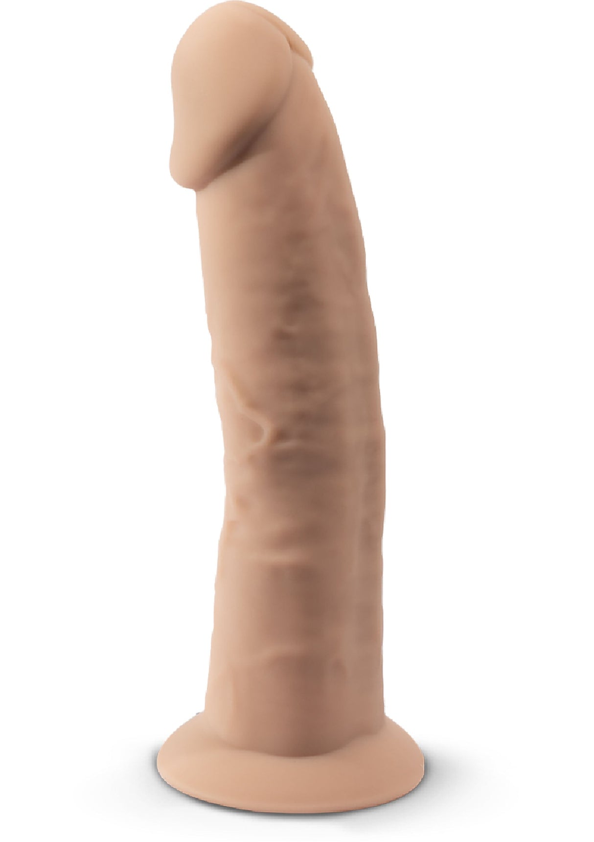 Dong Model 6 inch