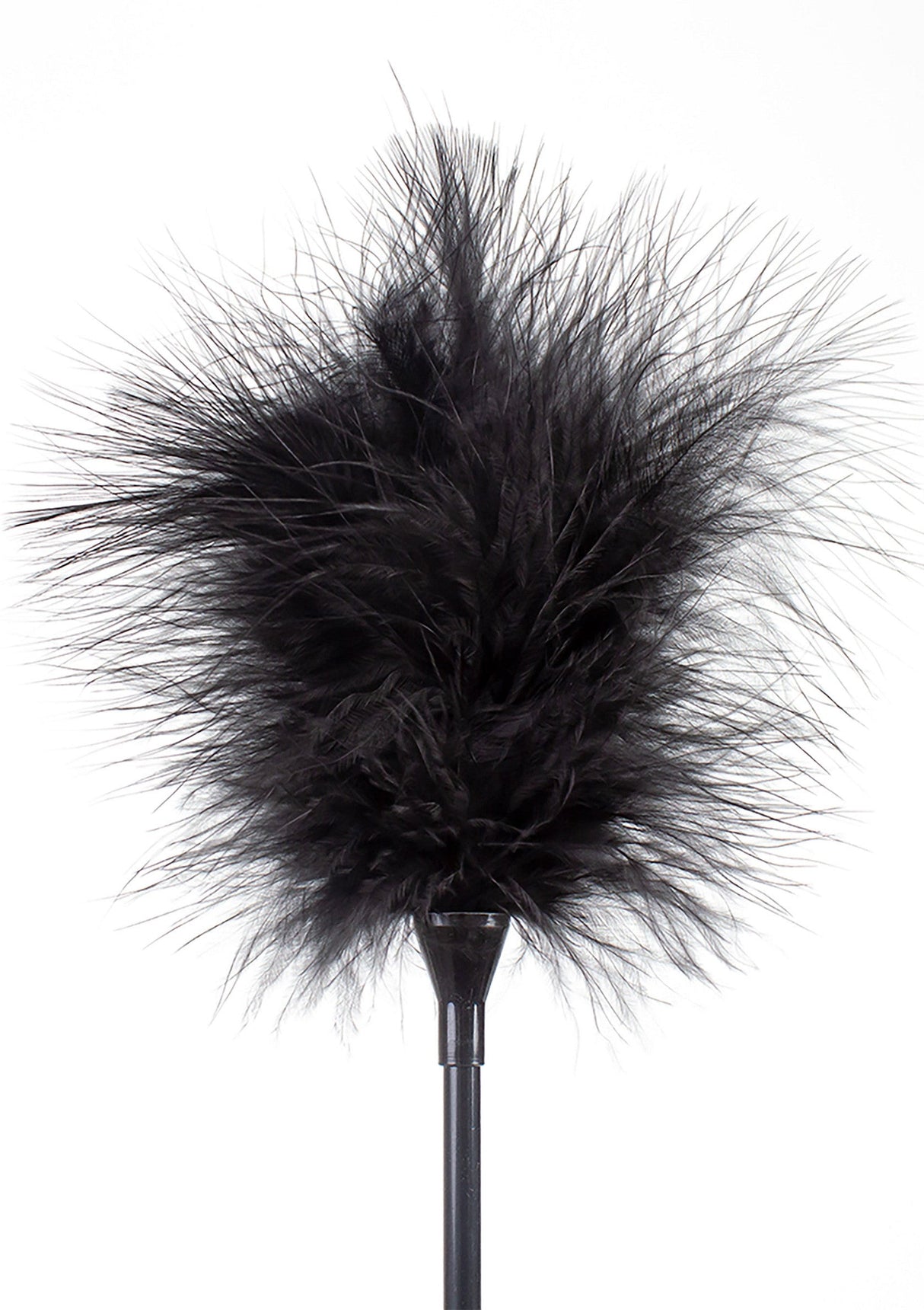 Feather Tickler & Whip